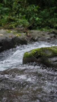Corriente de r&iacute;o bajando por la monta&ntilde;a rodeado de mucha vegetaci&oacute;n y rocas en el bosque tropical en c&aacute;mara lenta