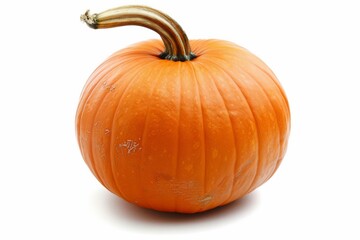 Obraz premium A fresh Pumpkin isolated on white