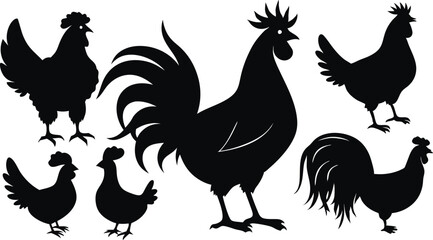 Fototapeta premium silhouettes of rooster and hens in various poses vector illustration silhouette, Print