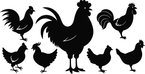 Naklejka premium silhouettes of rooster and hens in various poses vector illustration silhouette, Print
