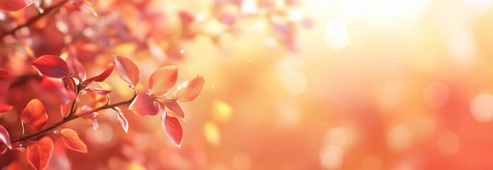 Fototapeta premium Hintergrund Konzept Goldener Herbst mit Textfreiiraum