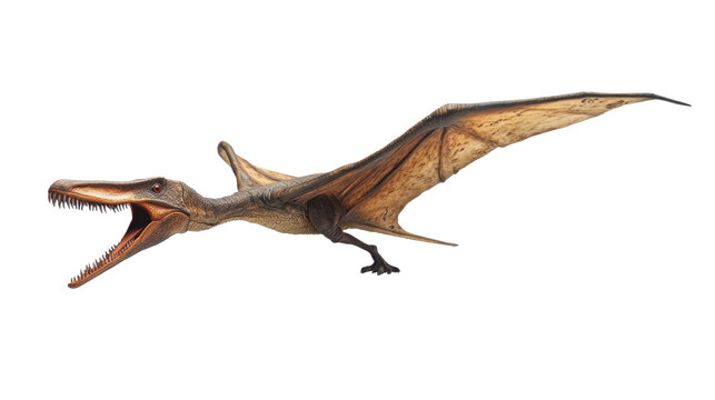 brown pterodactyl flying on white background clip art preview