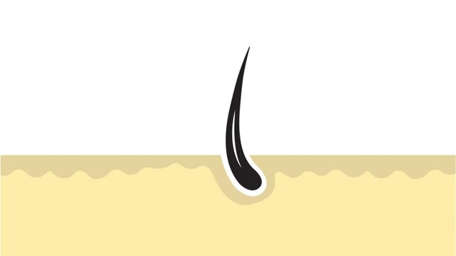 black shiny hair growing on scalp animation on white background
