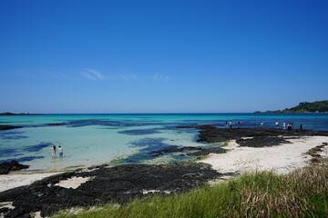 fine seaside view and people