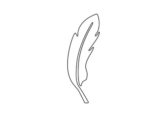 Bird feather continuous one line drawing. Isolated on white background vector illustration