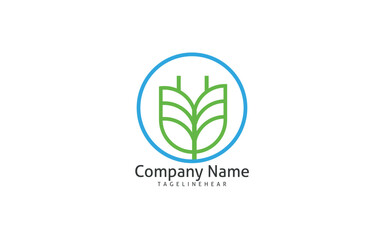 Electrical logo vector template