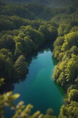 Obraz premium Aerial View of a Lush Green Forest Bordering a Calm Blue Lake.