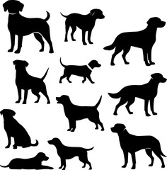 silhouettes of dogs