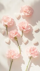 pink carnations and white hearts on a pastel background