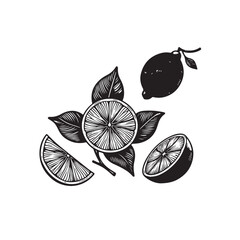 Lemon illustration vector design. Lemon silhouette black and white.