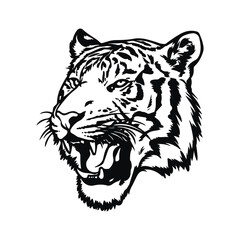 tiger head vector Generated AI