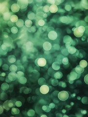Obraz premium a variety of high-quality bokeh backgrounds
