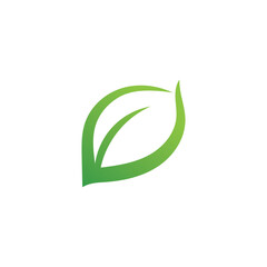 Leaf green nature logo and symbol vector