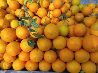 A pile of fresh musami malta