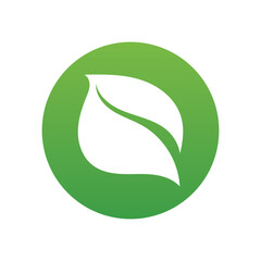 Leaf green nature logo and symbol vector