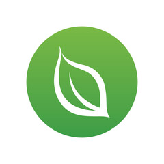 Leaf green nature logo and symbol vector