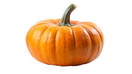 Obraz premium Vibrant Orange Pumpkin Isolated on White, Autumn Harvest and Halloween Decoration Concept , transparent background