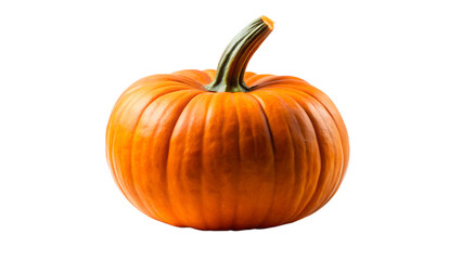Obraz premium Vibrant Orange Pumpkin Isolated on White, Autumn Harvest and Halloween Decoration Concept , transparent background