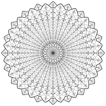 Mandala coloring page for adults, botanical mandala coloring page for adults. Hand-drawn floral line art mandala coloring page for adults. Coloring page for stress relief. Bohemian, tattoo.