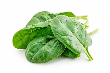 A fresh Spinach isolated on white