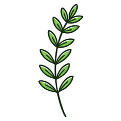 Thyme leaf clip art, vector illustration on white background