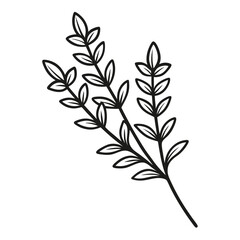 Thyme leaf clip art, vector illustration on white background