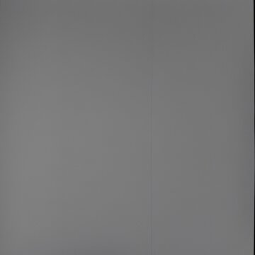 A plain gray background with subtle texture.