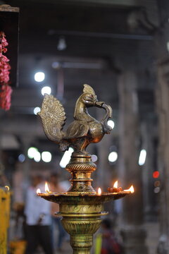 Brass peacock standing oil lamp isolated over black background. Indian traditional samai or samayee.