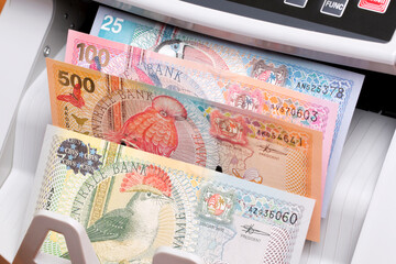Surinamese dollar in the counting machine