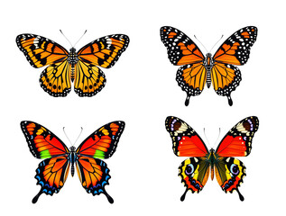 Obraz premium set of butterflies isolated on transparent background