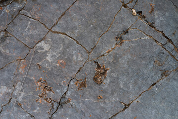 Stone texture. Gray natural rock. Perfect for background.