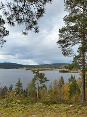Obraz premium lake and forest