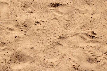 This is a close up view of a pile of sand with visible footprints in it