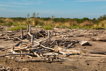 Lidi di Comacchio Adriatic Sea beach and regional park Po Delta storm in summer