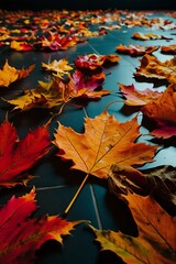 Fototapeta premium Autumn leaves on dark background