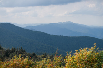 Foggy mountain landscape
