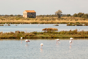 Lidi di Comacchio Adriatic Sea beach and regional park Po Delta storm in summer