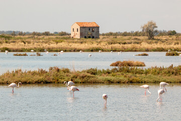 Lidi di Comacchio Adriatic Sea beach and regional park Po Delta storm in summer
