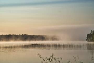 Fototapeta premium Sunrise with fog forming over a lake in Sweden, at dawn. Romantic silence