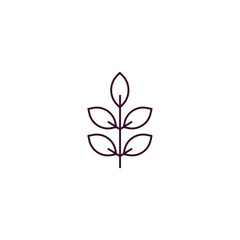 trifoliate ternate outline icon. Linear vector from nature concept. Thin line trifoliate ternate icon isolated on white background