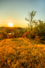 Obraz premium Landscape in the mountains at autumn morning , beautiful orange trees with beauty colors of the autumn . Sunlights through the trees , field on the hills . Golden colors in forest . Sunrise over trees