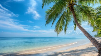 Summer landscape with the palm tree on tropical beach beautiful sea view