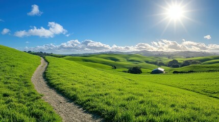 Obraz premium The Rolling Green Hillscape