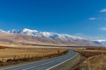 Black asphalt road landscape at day in beautiful colorful nature. Highway scenery among mountains in autumn season. Nature landscape on beautiful road in colorful fall. Autumn landscape in Altay.