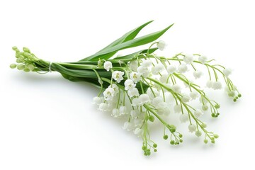 Obraz premium A cluster of white flowers sit on a clean white surface, perfect for adding a touch of elegance to any setting