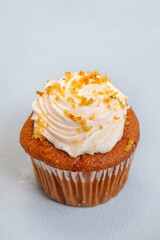 Single carrot cupcake on light pastel blue with selective focus and copy space