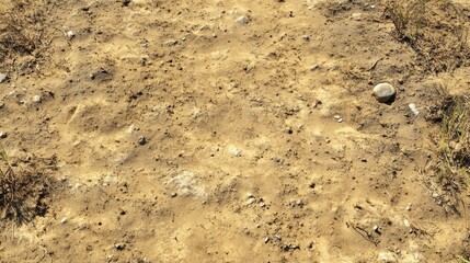 Sandy desert ground path texture