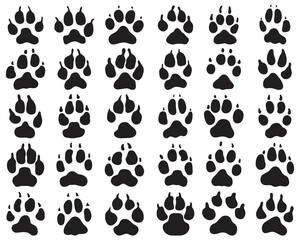 Fototapeta premium Black print of paw of dogs on a white background