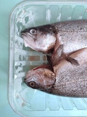 Two fresh whole trout fish placed in a plastic packaging tray.