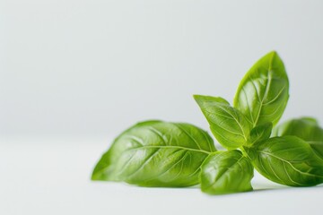 Obraz premium Close-up shot of a pair of green leaves resting on a white background